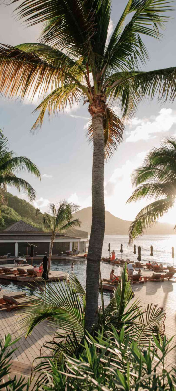 Bienvenue au Christopher St-Barth