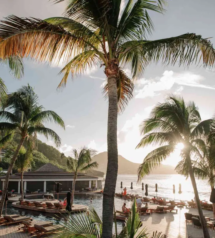 Bienvenue au Christopher St-Barth