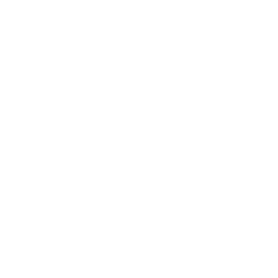 Behance icon.