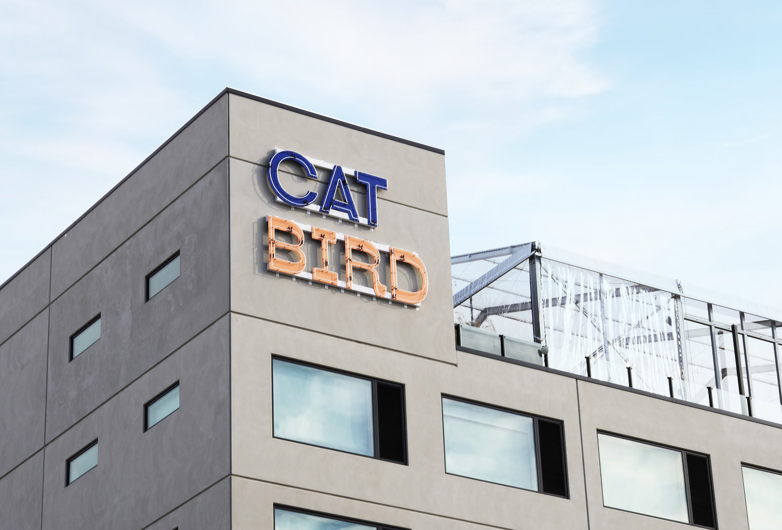 Visual Reference: Catbird Rino