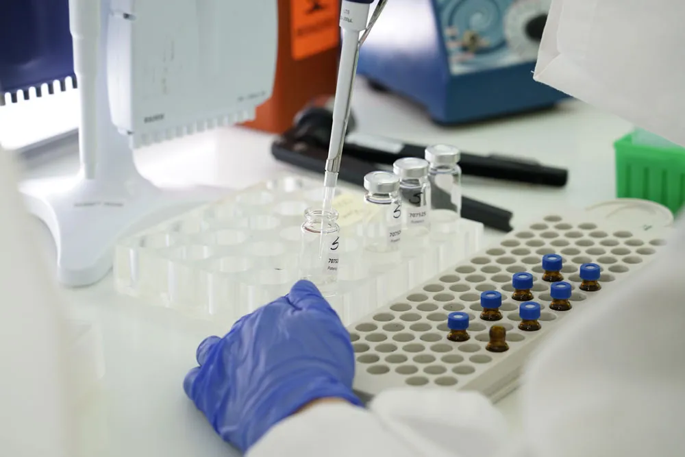 A scientist gathering samples for potency testing