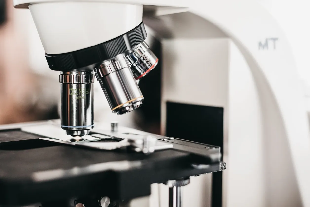 Observing a sample in a microscope.