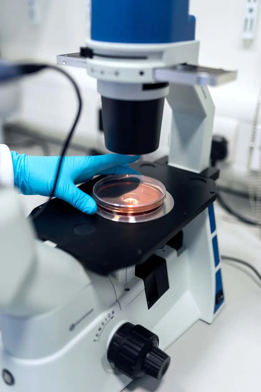 A scientist scanning a sample using a Confocal microscope.