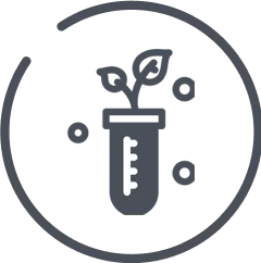 A plan growing in a test tube icon inside a circle in grey and white.