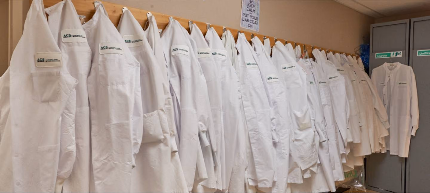 The Laboratory