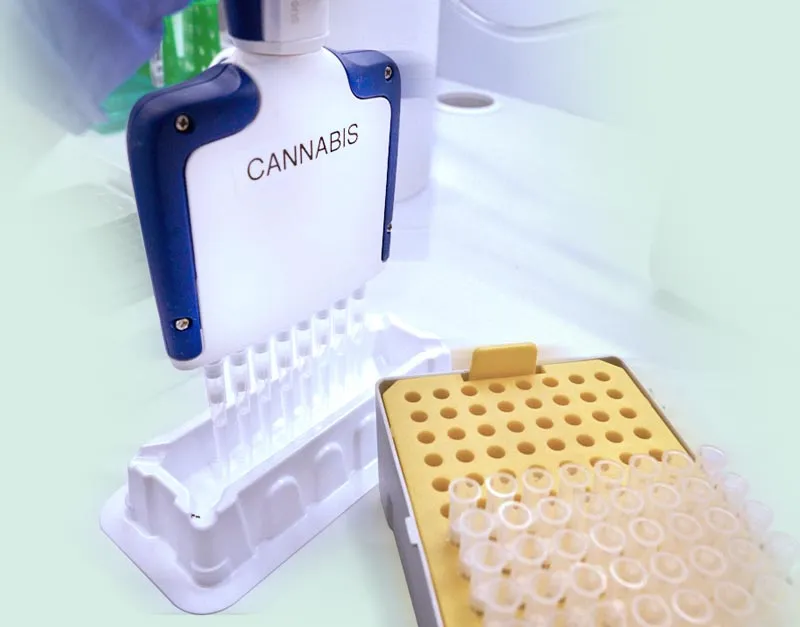 Microbiology Panel Image
