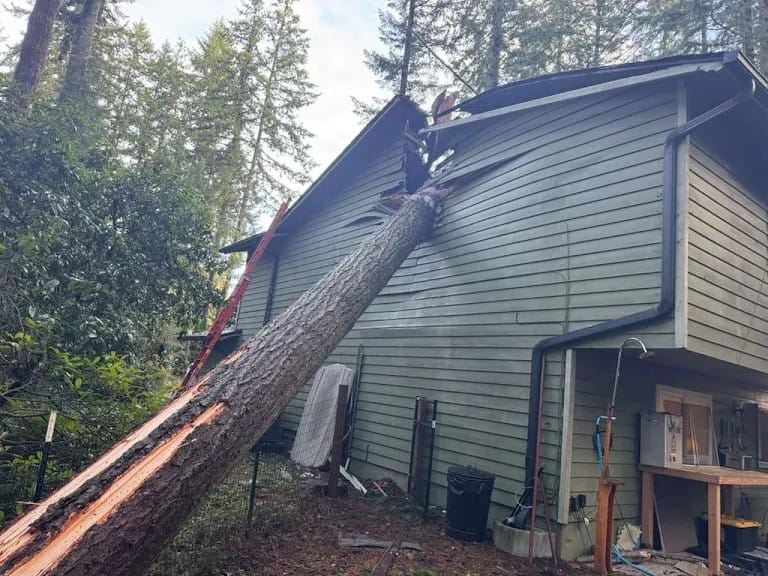 Fallen tree through the roof of a Washington home — storm damage insurance restoration project by Blue Lake Construction.