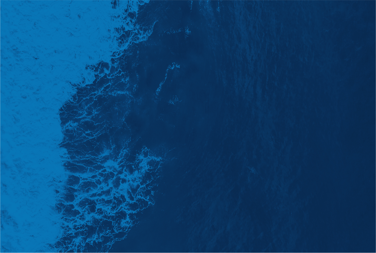 Helm Recognised at International MEA Business Awards for AI-Powered Customer Experience