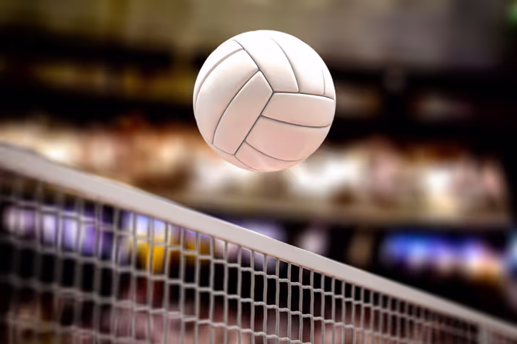 Image of a volleyball