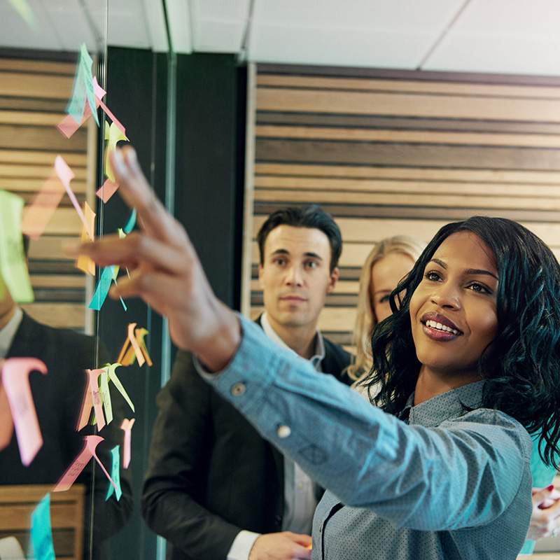 Grads of Life - Evidenced Based DEI Best Practices