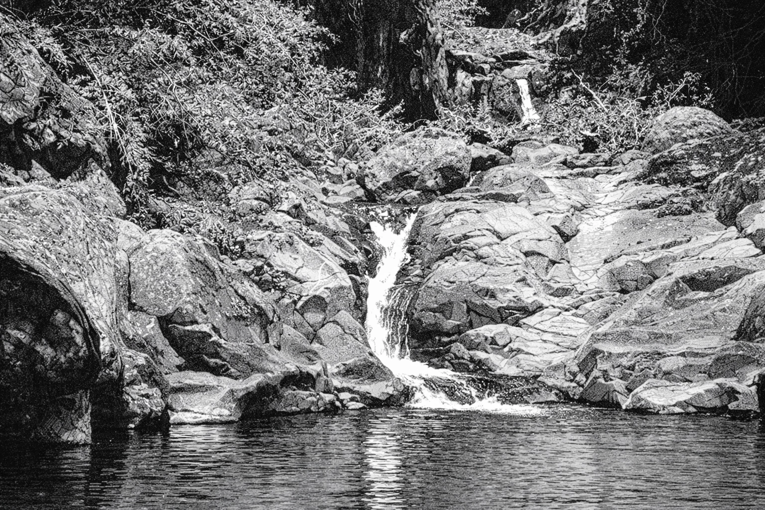 Vilches, Chile. Ilustración para apoyar el análisis del mercado. 