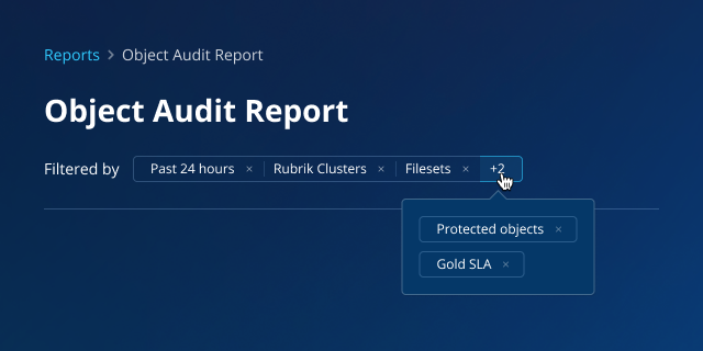 filter chips example