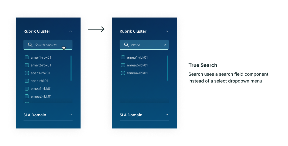True search experience