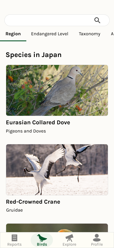 low fidelity version of bird list page
