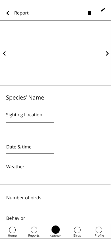low fidelity version of report detail page