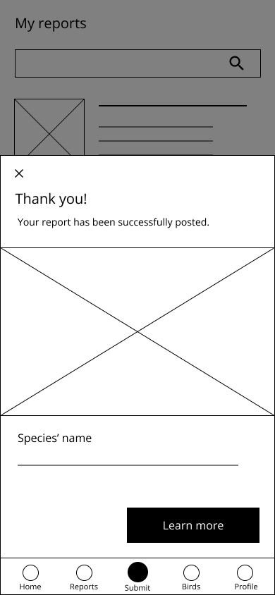 low fidelity version of report posting feedback