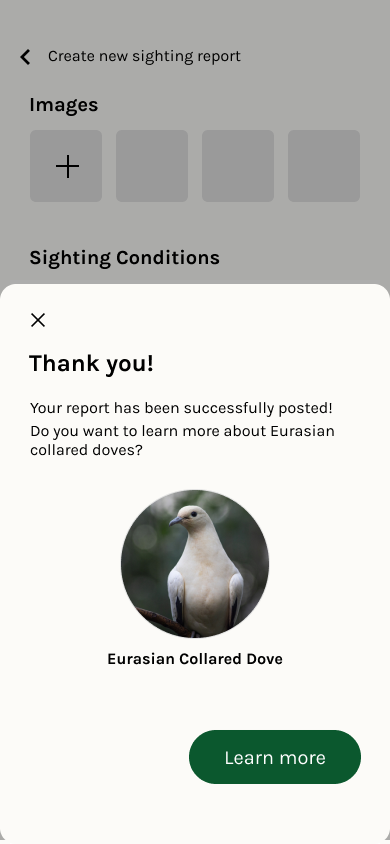high fidelity version of posting feedback
