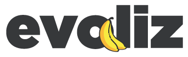 Evoliz