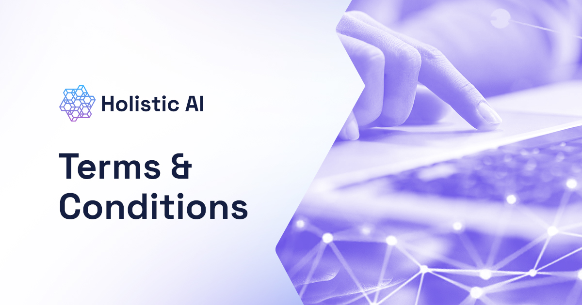 Terms &amp; Conditions | Holistic AI