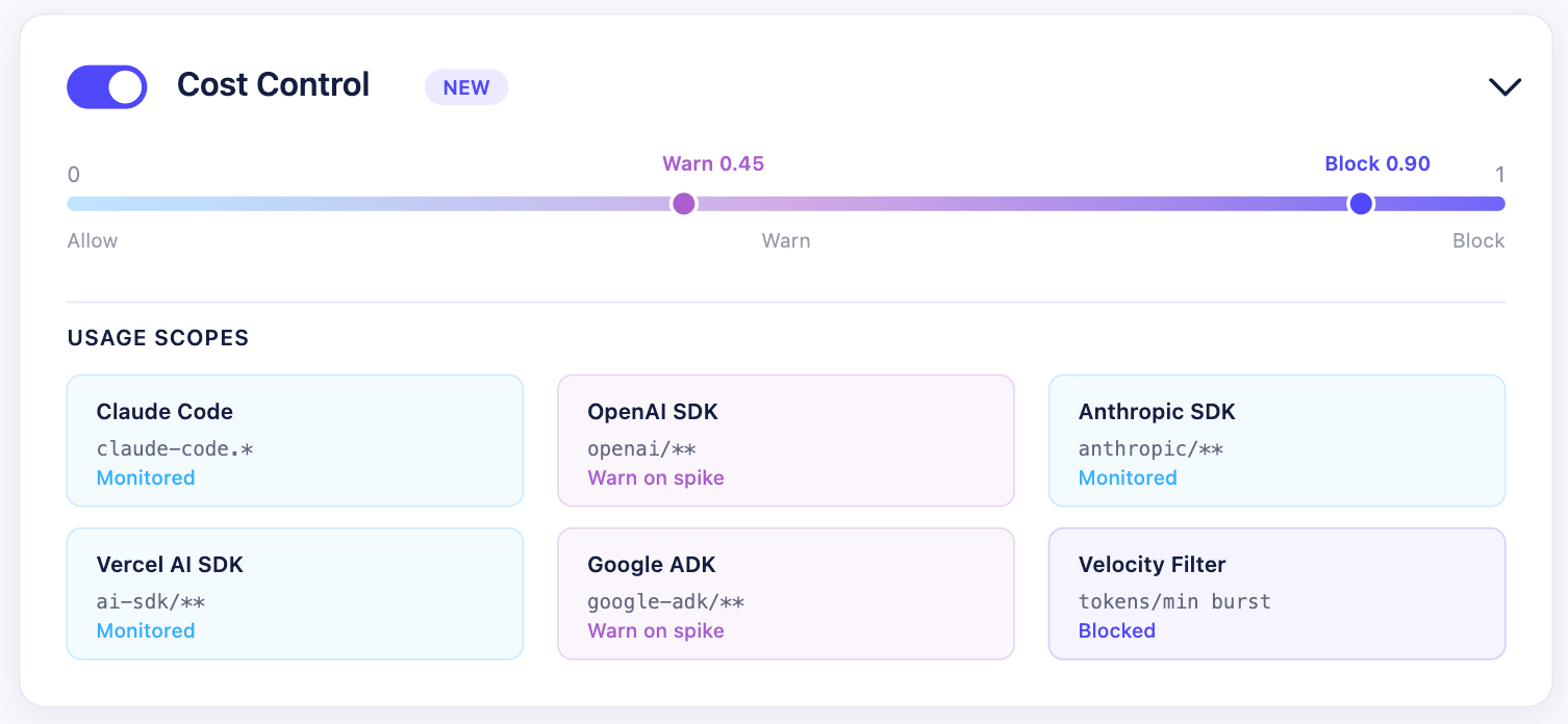 Cost Control and Rate Limit - Holistic AI Runtime Agents