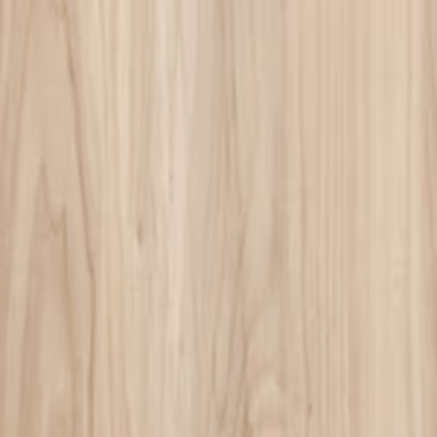 American Elm Stock color swatch sample