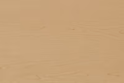 Hardrock Maple color swatch detail