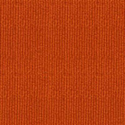 Orange Fabric Swatch