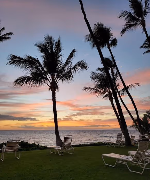 palm trees at the hale pau hana