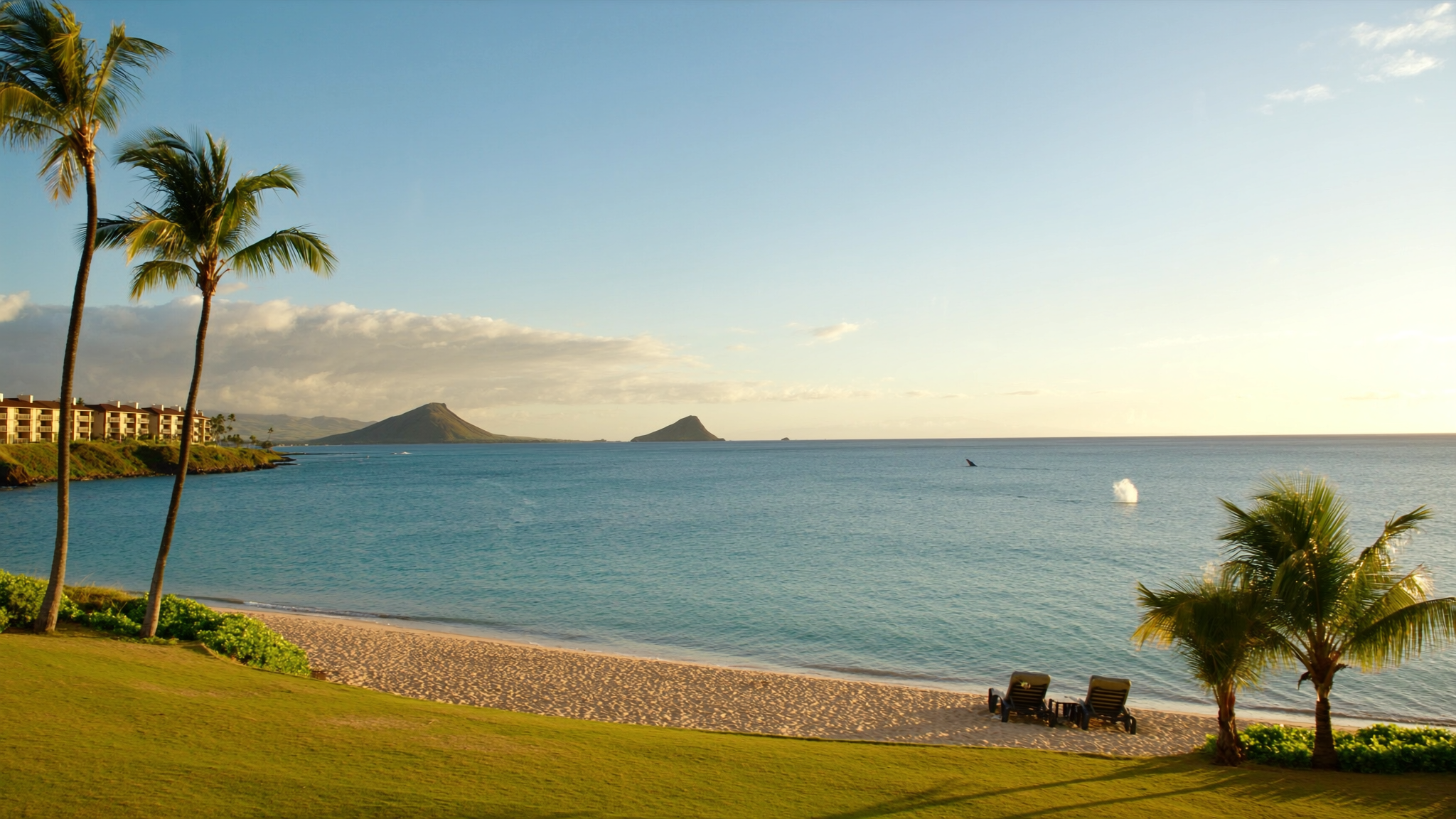 Calm winter morning at Kamaole Beach Park II in Kihei, Maui, with a humpback whale spout offshore and the oceanfront lawn of The Hale Pau Hana in the foreground