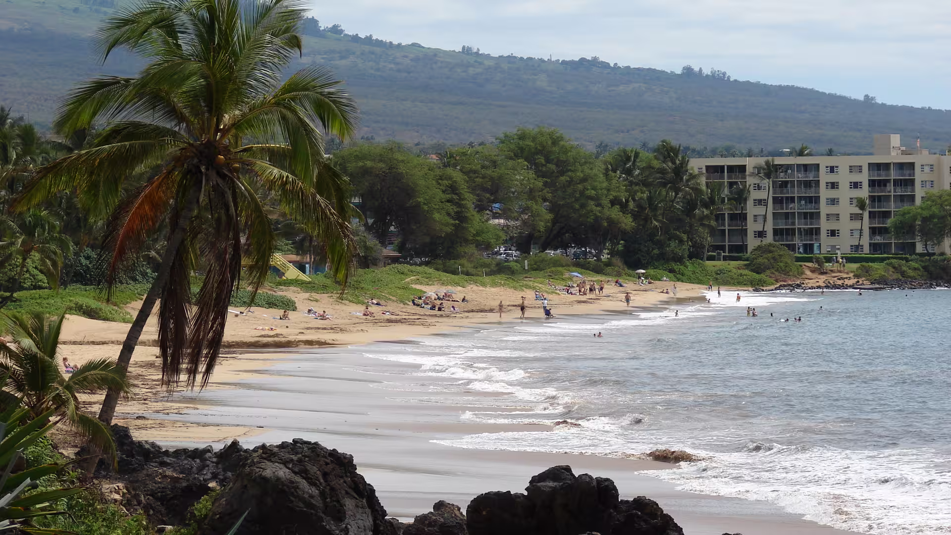 The sandy shoreline at Charley Young Beach, Kihei, Maui, with coconut palms, lava rock and low-rise condominiums behind