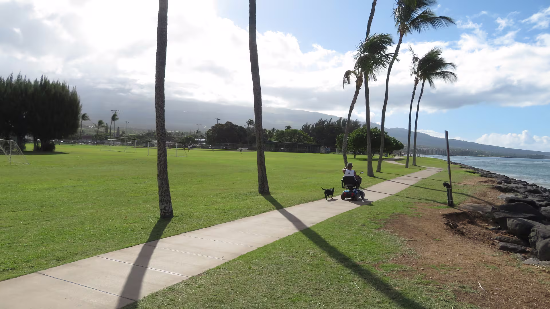 The grassy oceanfront lawn, coastal sidewalk and coconut palms at Kalama Park, Kihei, Maui, beside the rock seawall