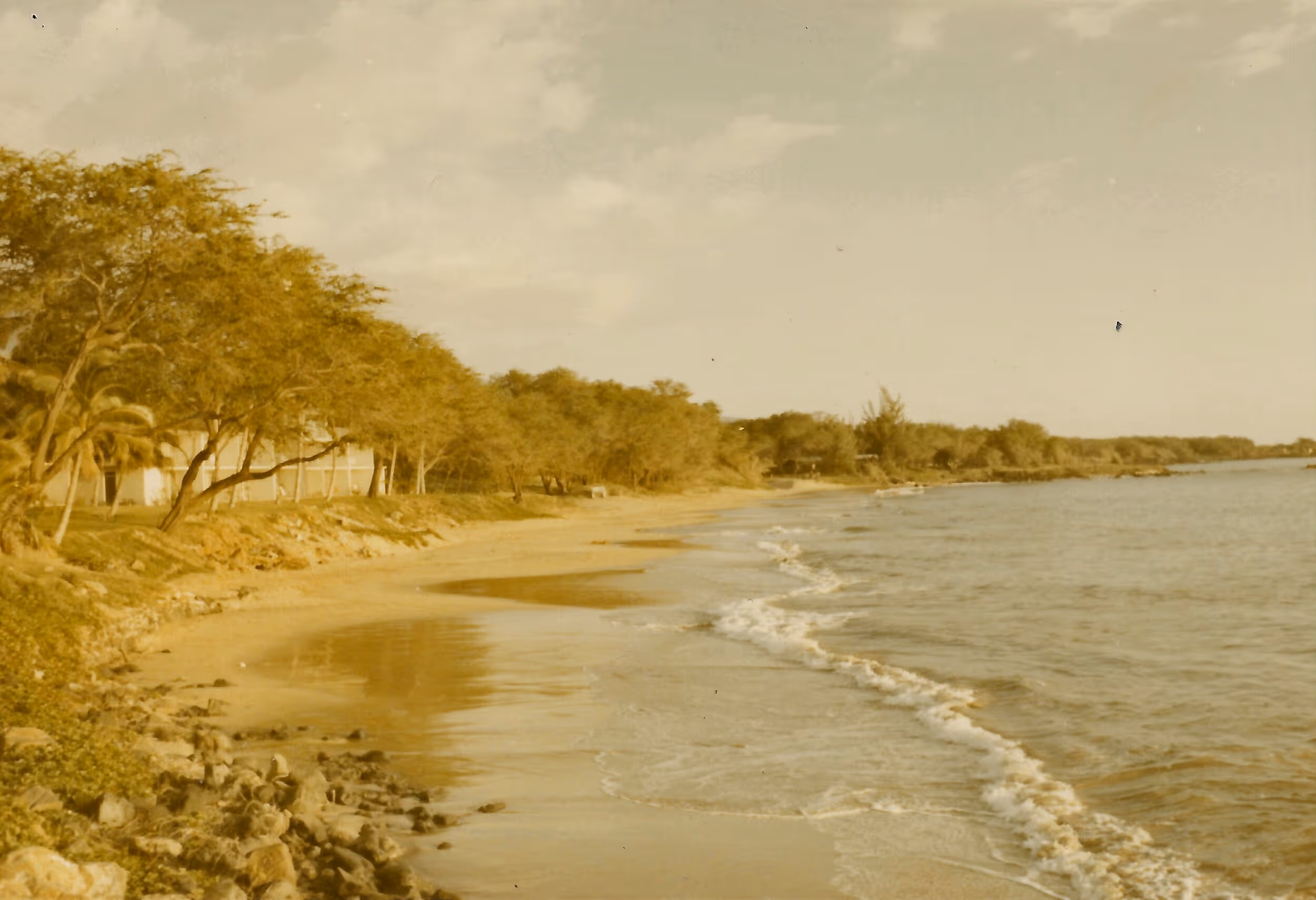 Kihei Maui History Kamaole Beach II 1969 Photo courtesy @thehalepauhana