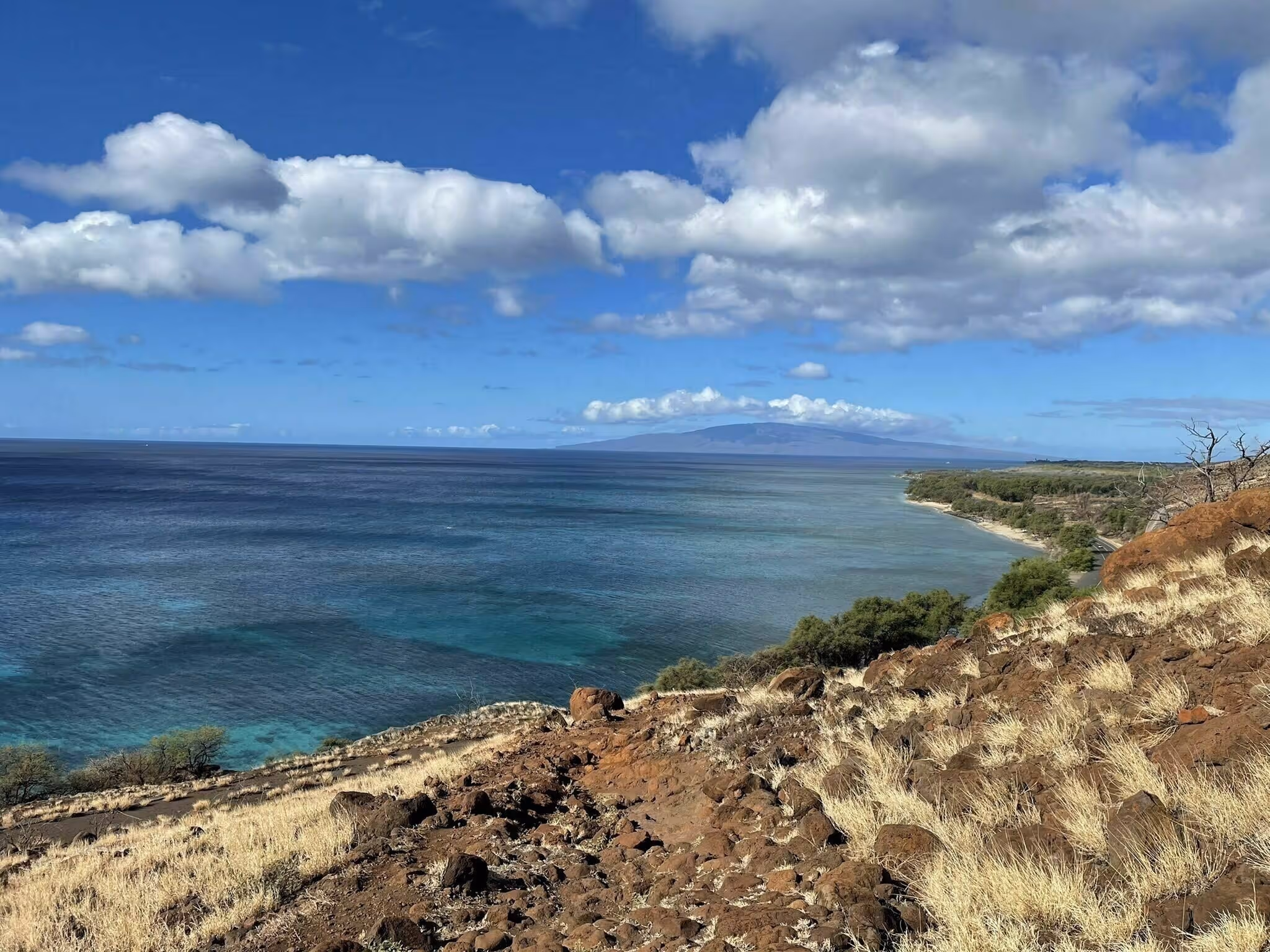 Olowalu Reef Photo courtesy @julieb