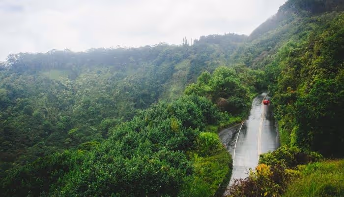 Is the Road to Hana Worth It?