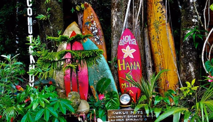 Best Road to Hana Tours