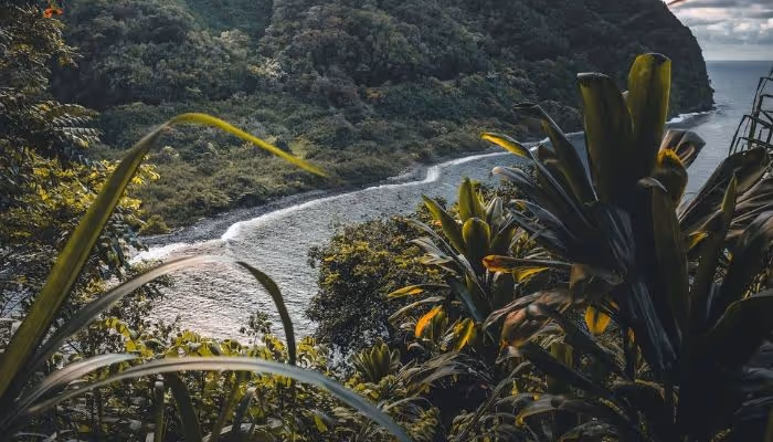 What is the Road to Hana?