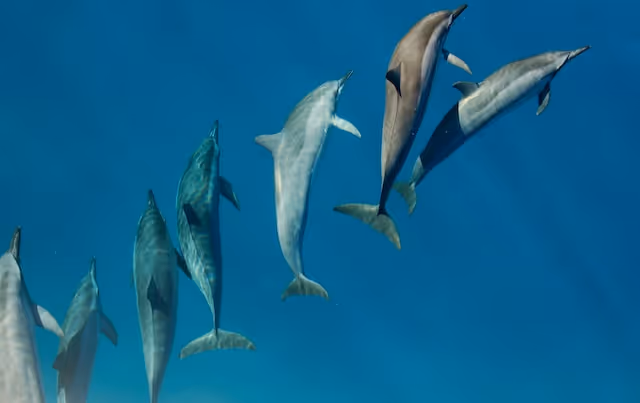 Is Molokini Crater Worth Visiting?