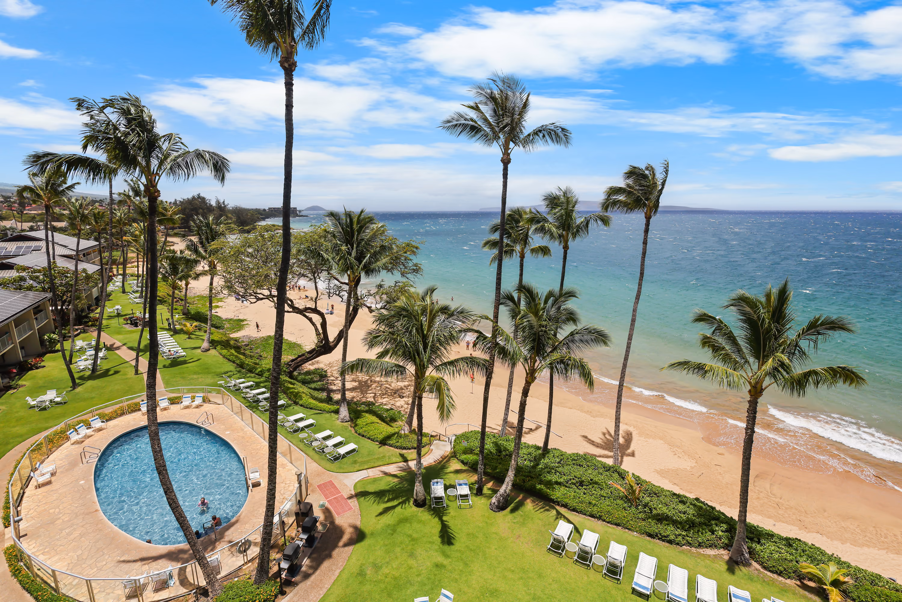 View over the swimming pool, lawn and palm-lined beach.