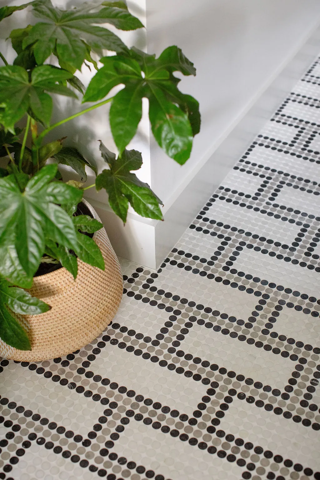 Custom black-and-white mosaic penny tile flooring featuring a geometric pattern alongside lush indoor greenery. Designed by PWD Studio, this detail showcases timeless craftsmanship, graphic tile design, and sophisticated Charleston interior styling.
