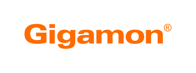 Gigamon