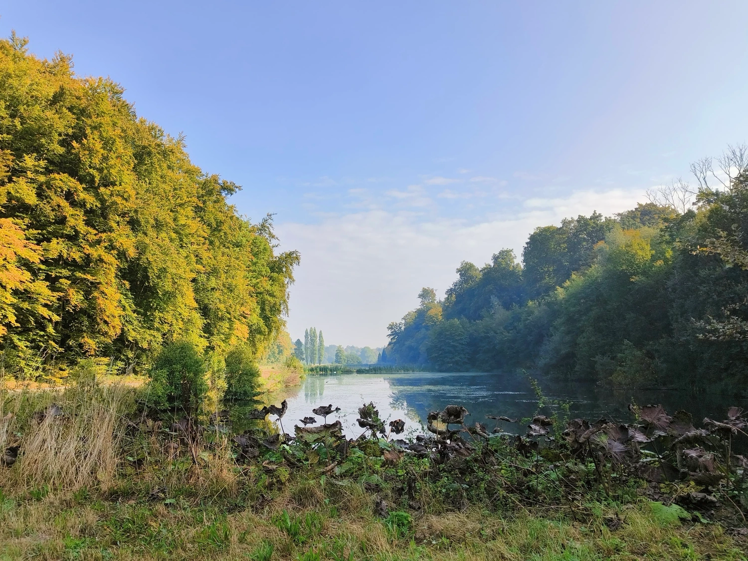 Misty Trails – Fall Gravel Ride 2025
