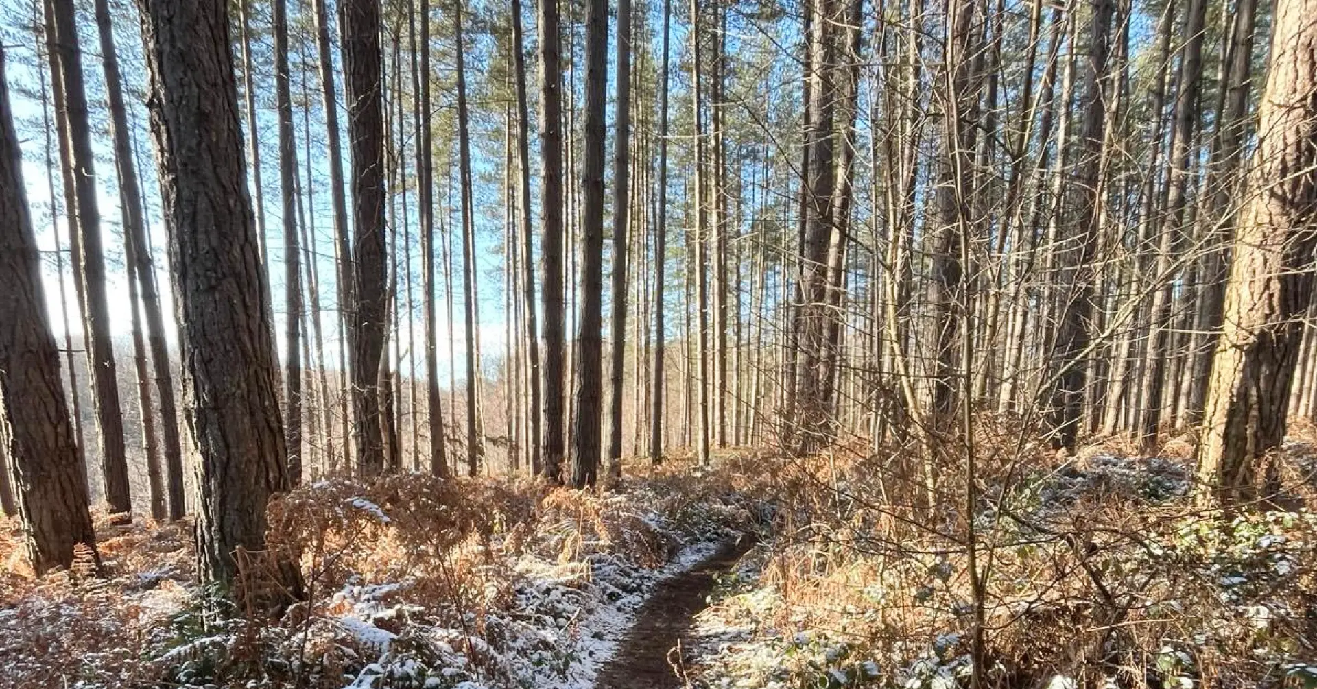 Frozen Tracks - Winter Gravel Ride 2026
