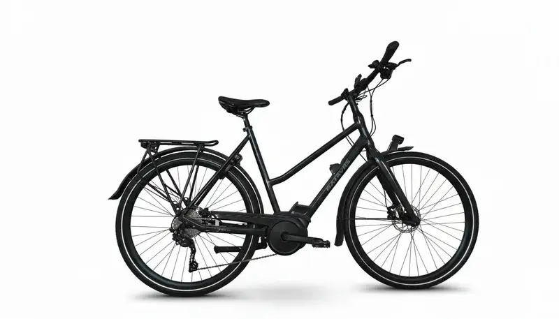 Batavus Zonar E-Go