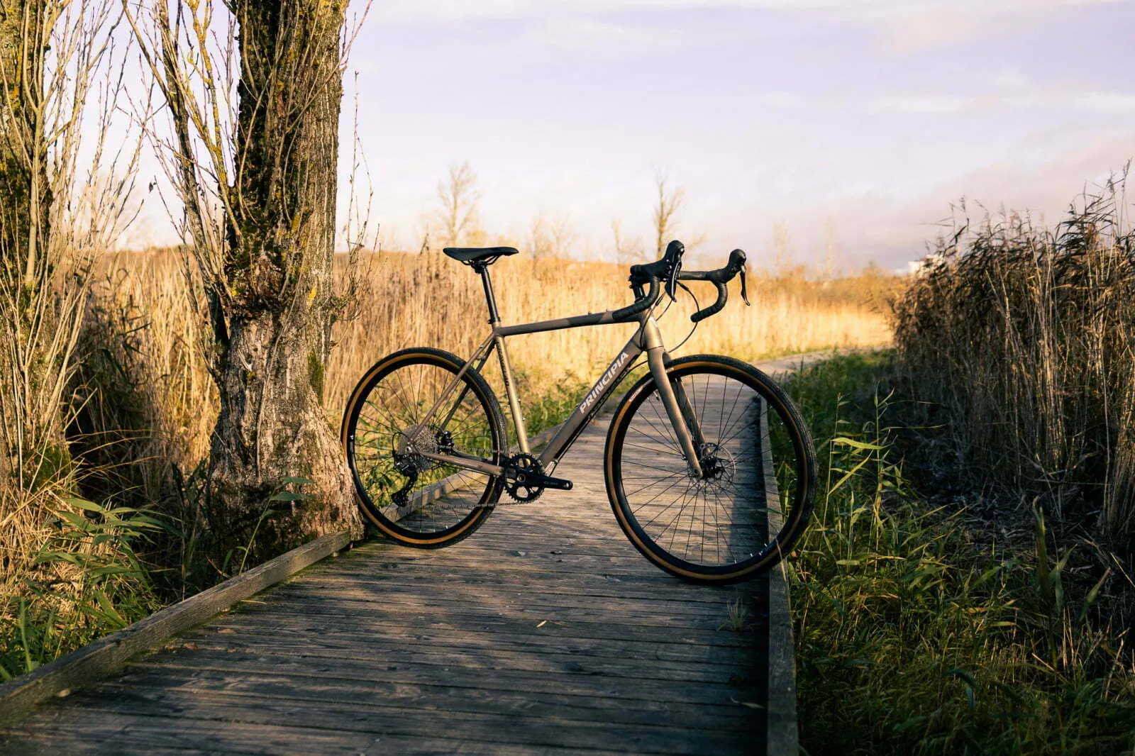 Principia gray road bike on a wooden footbridge surrounded by reeds
