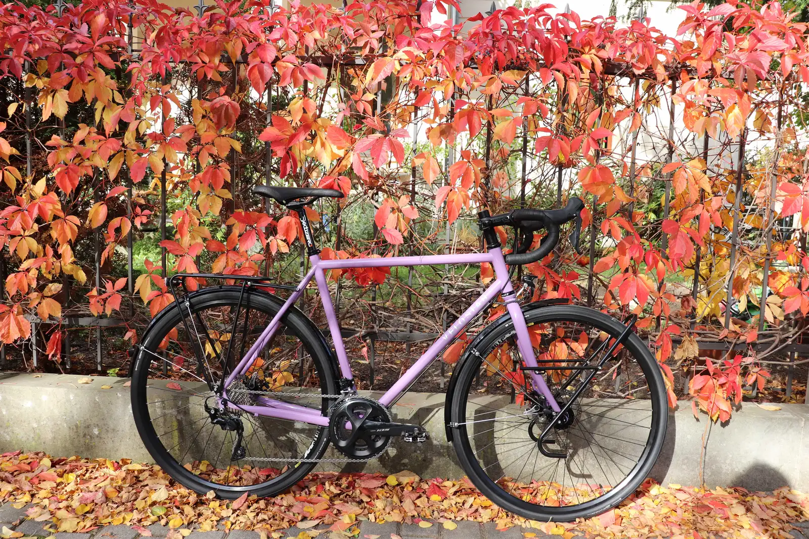 Purple Intec road bike in front of a wall of red and orange leaves
