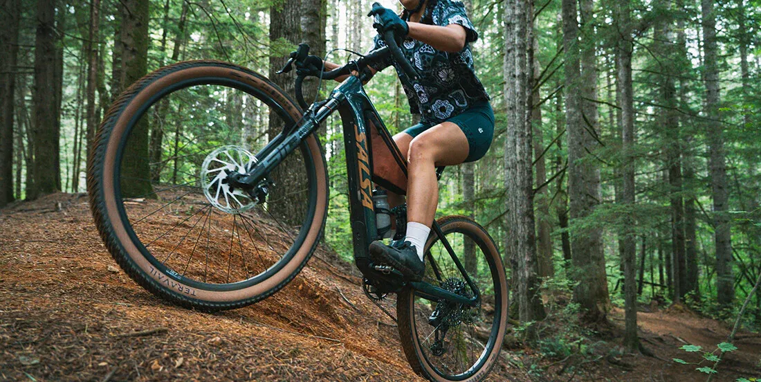 Vélo Salsa bleu en forêt, cadre robuste, pneus larges tout-terrain