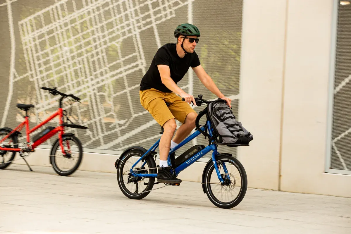 Blue Ridgeback bike, city bike frame, cyclist wearing a green helmet, modern wall art