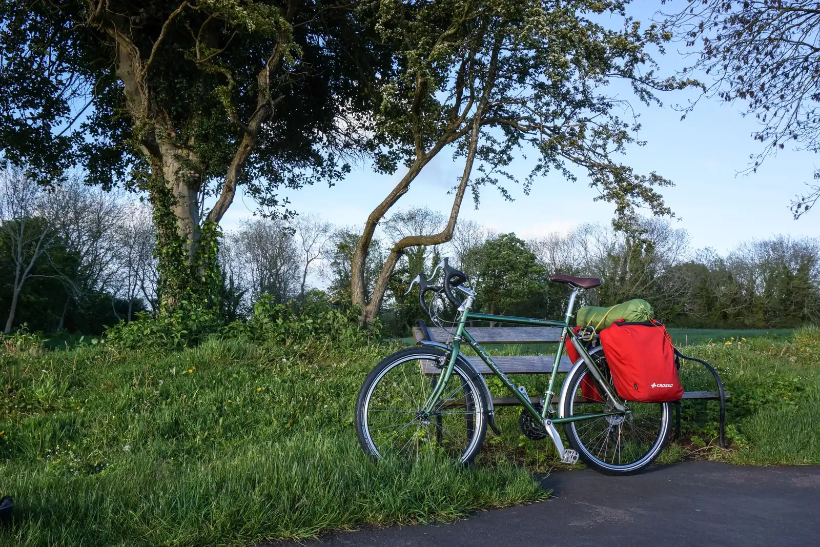 Green Ridgeback bike with a red bag on a bench in a wooded park