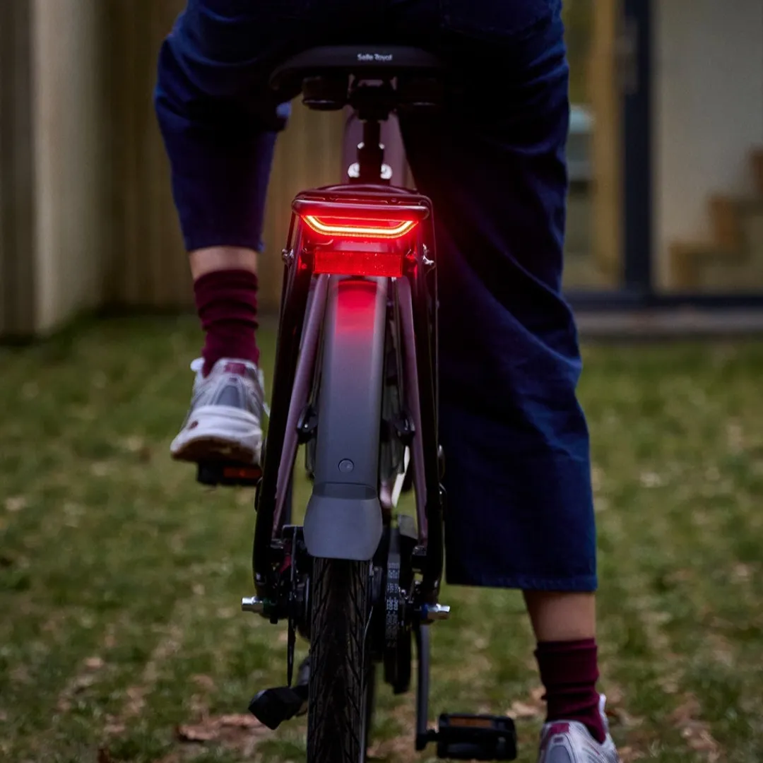 Black Batavus electric bike with a red taillight, parked outdoors on the lawn
