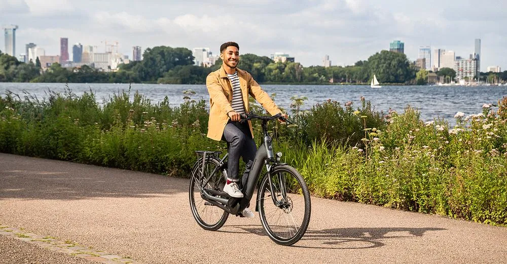 A black Batavus e-bike on a bike path near a lake with a skyline in the background